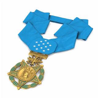 3D US Air Force Medal of Honor Lying model