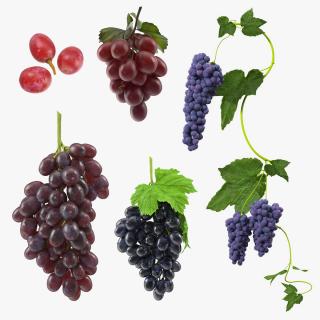 Grapes Collection 3 3D model