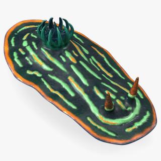 Nembrotha Kubaryana 3D model