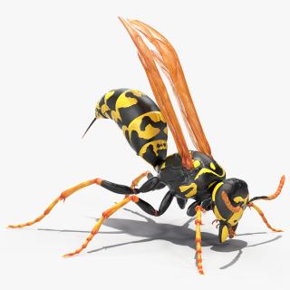 Paper Wasp Rigged 3D