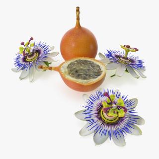 3D model Passion Fruit and Flowers