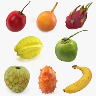 3D Exotic Fruits Collection 2