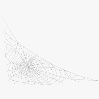 3D Triangular Shaped Spider Web model