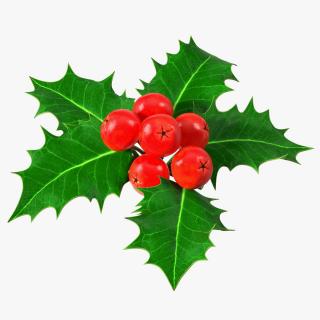 Christmas Decoration Sprig Holly 3D