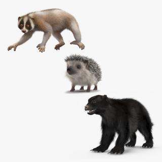 Land Mammals Fur Collection 3D