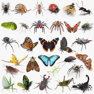 Insects Big Collection 4 3D model