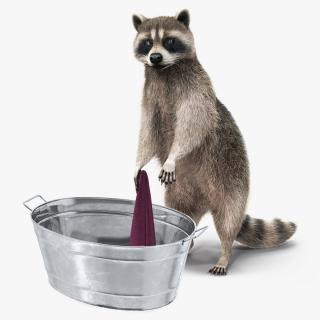 Raccoon with Towel Collection 3D model