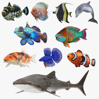 Fishes 3D Models Collection 4 3D model