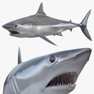 3D Isurus Oxyrinchus Shark model