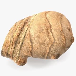 Sliced Ginger Piece 3D model