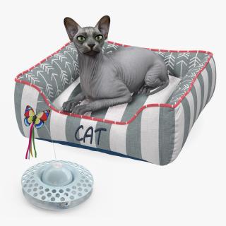 Sphynx Cat with Cat Accessories Collection 3D