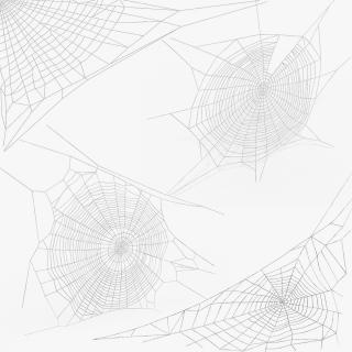 Spider Webs Collection 2 3D model