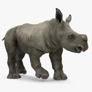 Baby Rhino Rigged 3D