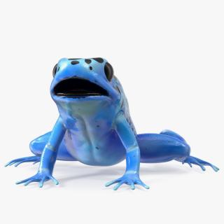 Blue Poison Arrow Frog Rigged 3D model