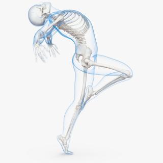 3D model Male Body with Skeleton Ballet Pose