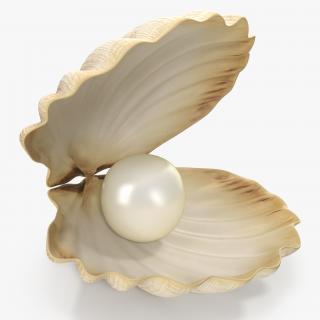 3D model Sea Shell With Pearl