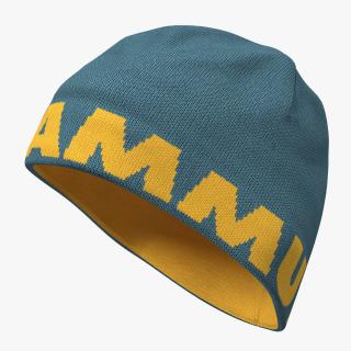 3D model Mens Winter Hat