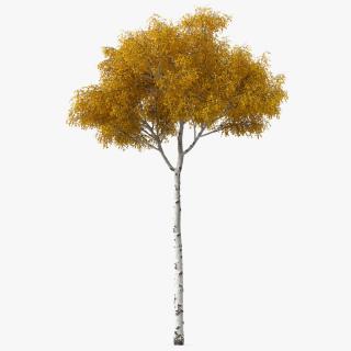 Birch Tree Yellow 3D