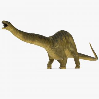 Apatosaurus Dinosaur Fighting Pose 3D model