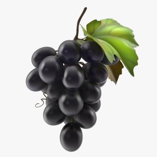 Bunch of Fresh Black Grapes 3D