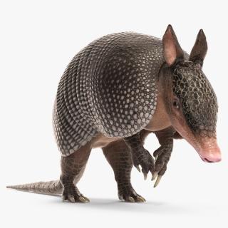 3D Armadillo Black Rigged for Cinema 4D