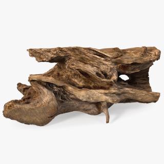 3D model Snag Trunk