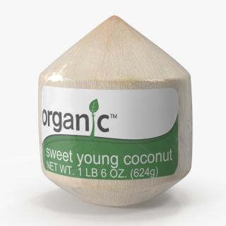 Fresh Shelled Coconut Pack Organic 3D model