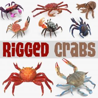 3D 3D Rigged Crabs Collection 3 model