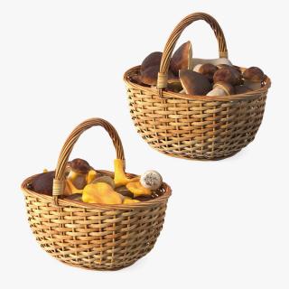 3D Baskets of Mushrooms Collection