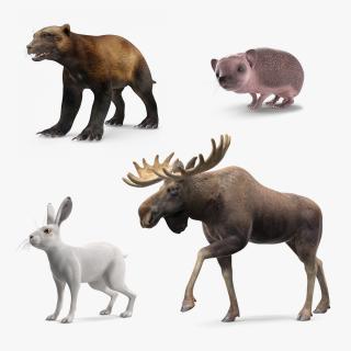 3D model Land Mammals Collection 2