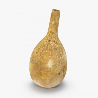 3D model Gourd Water Container Calabash