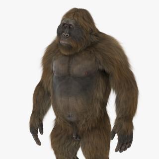 3D Gigantopithecus in Standing Pose Fur