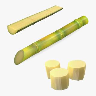 3D model Sugarcane Collection