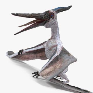 3D model Pterosaur Pteranodon White Standing Pose