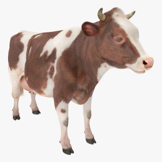 Cow with Fur 3D