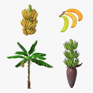 3D model Bananas Collection 2