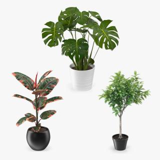 Houseplants Collection 3D