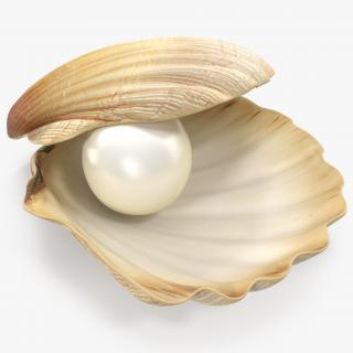 Pearl in Shell 3D model