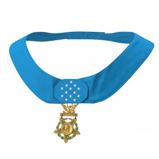 US Army Medal of Honor Worn 3D