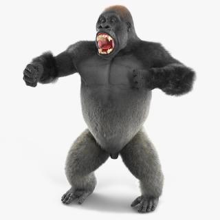 3D model Roaring Gorilla Fur Animated Rigged