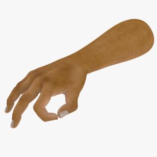 3D model Man European Hand OK Pose