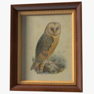 3D Owl Picture in Vintage Frame model