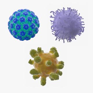 Human Viruses Collection 3D model