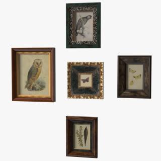 3D model Vintage Ornate Frames Set