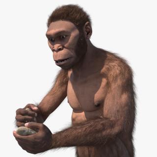 Homo Habilis in a Sitting Pose Fur 3D model