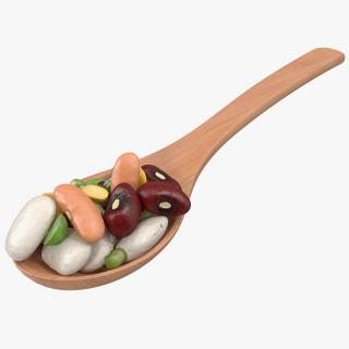 3D Wooden Spoon Filled With Mixed Beans