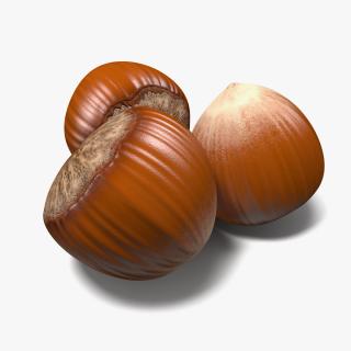 Whole Hazelnut 3D model