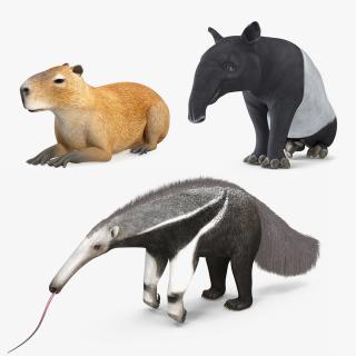 South America Mammals Collection 3D