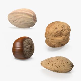 Nuts Collection 3 3D