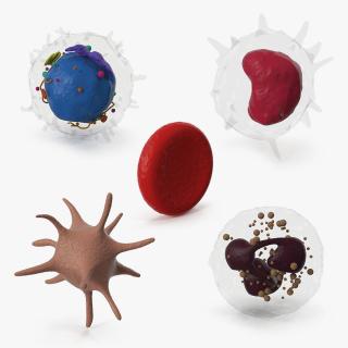 Blood Cells Collection 4 3D model